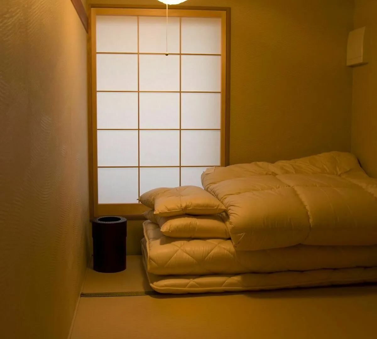 Tadaima Japan Shinjuku Ryokan Tokyo